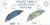 kusuguru japan 2022all season kusuguruunbrella